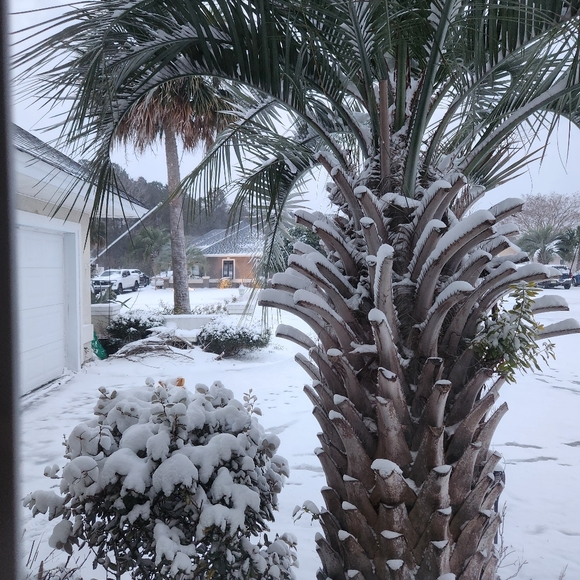 Pls Finish Shares Now! ShareList&SignOut/ Feb 6-8⬇️👒Sat Down South🌴 - Picture 3 of 16